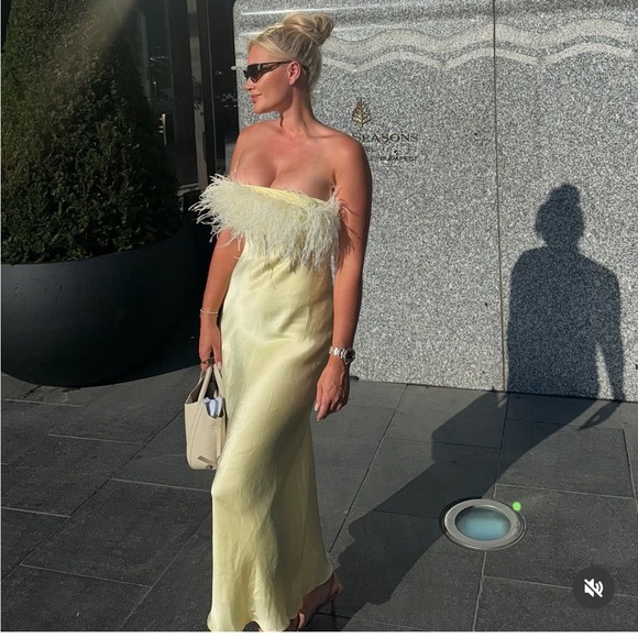 NWT ZARA  VIRAL 2025 COLLECTION FEATHERED SATIN  DRESS SIZE S and L
🚨FIRM PRICE - Picture 13 of 16